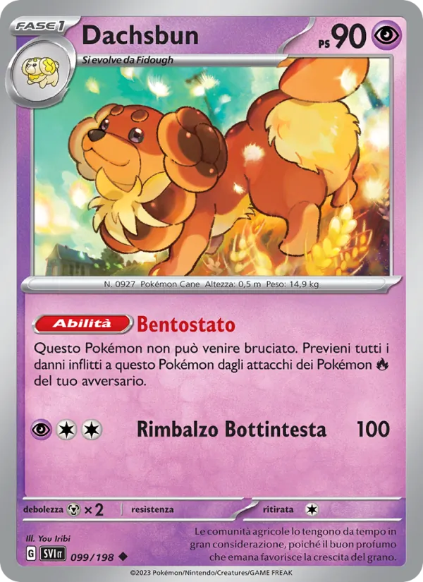 Dachsbun – Scarlatto e Violetto 99