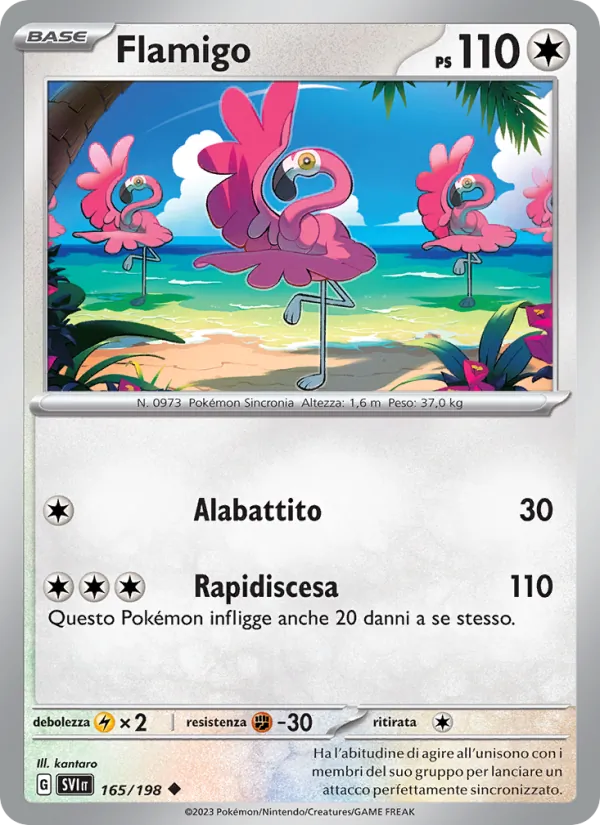 Flamigo – Scarlatto e Violetto 165