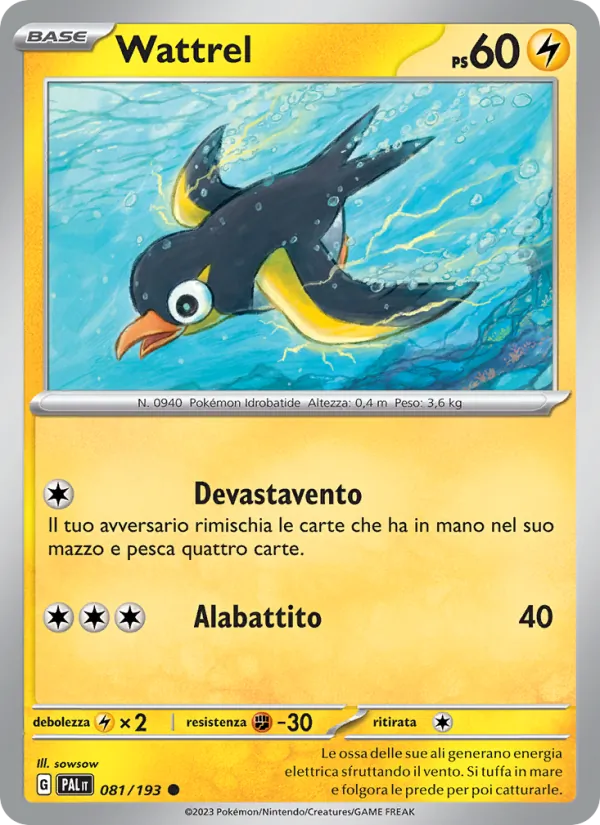 Wattrel – Evoluzioni a Paldea 81