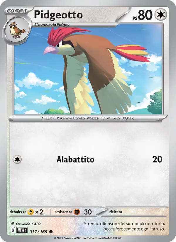 Pidgeotto – 151 17