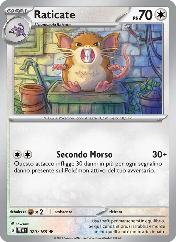 Raticate – 151 20