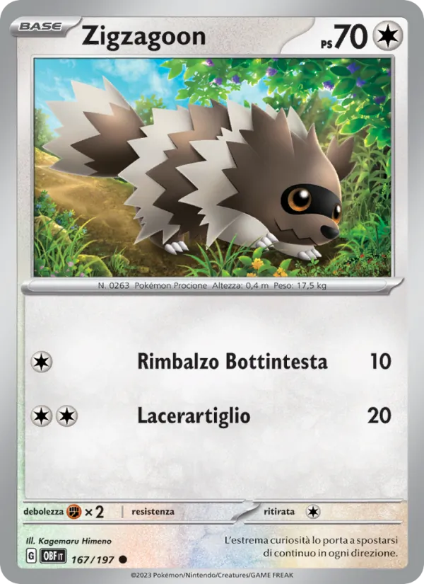 Zigzagoon – Ossidiana Infuocata 167