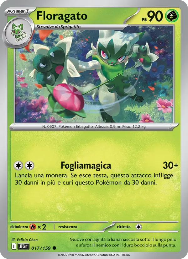 Floragato – Avventure Insieme 17