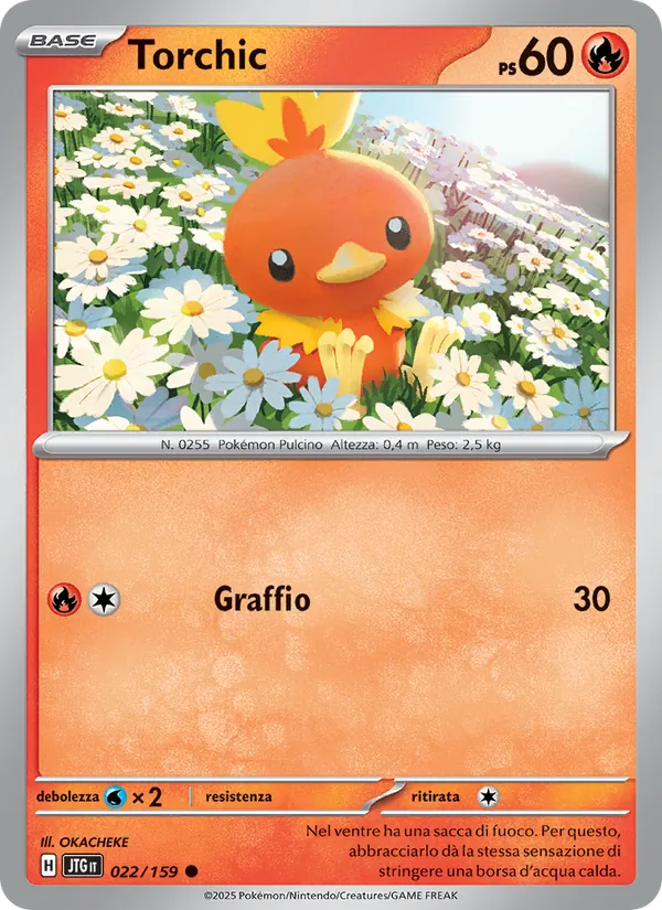 Torchic – Avventure Insieme 22
