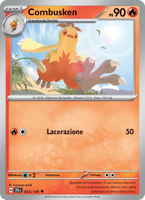 Combusken – Avventure Insieme 23
