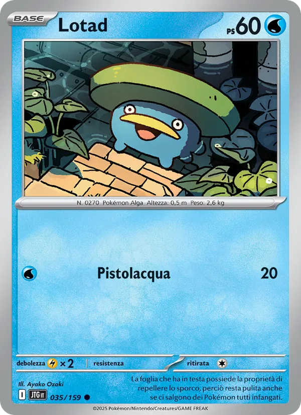 Lotad – Avventure Insieme 35