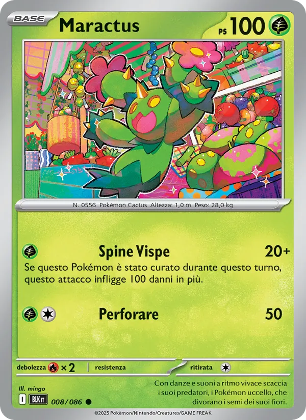 Maractus – Luce Nera 8