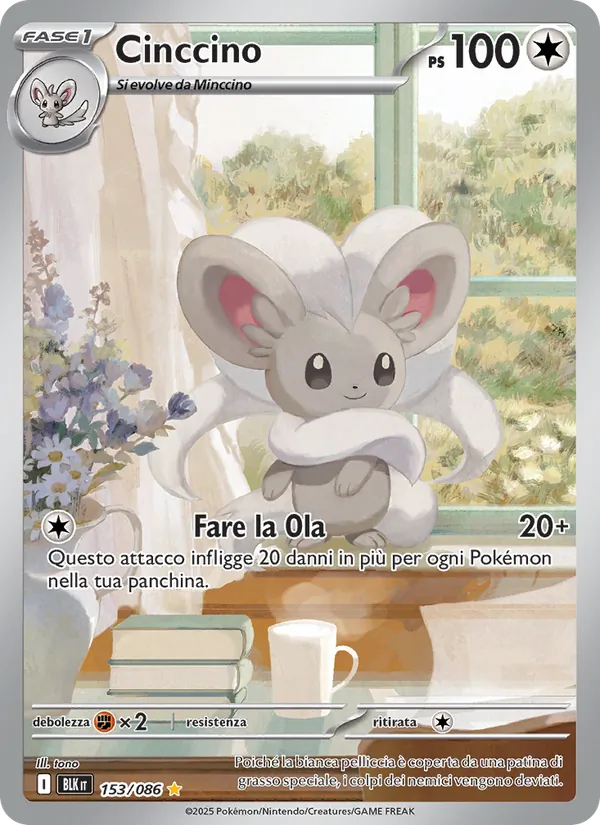 Cinccino – Luce Nera 153