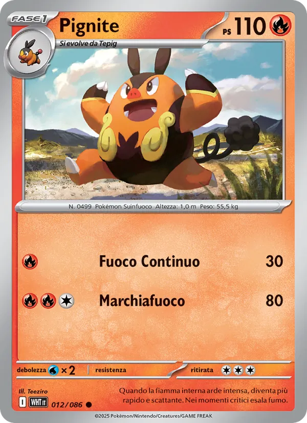 Pignite – Fuoco Bianco 12