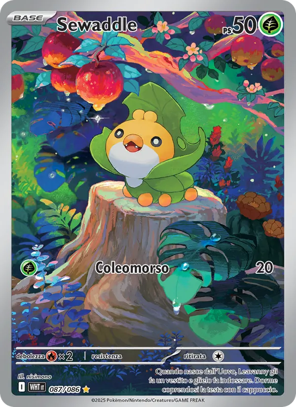 Sewaddle – Fuoco Bianco 87