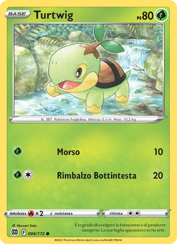 Turtwig – Astri Lucenti 6