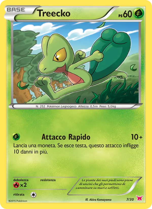 Treecko – XY trainer Kit (Latias) 7