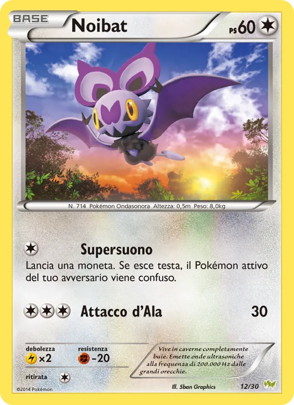Noibat – XY trainer Kit (Noivern) 12