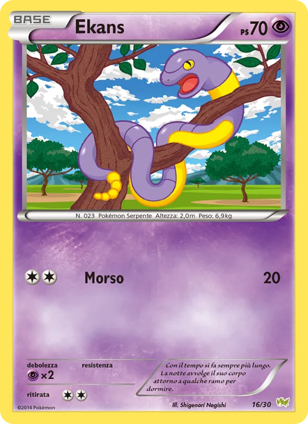 Ekans – XY trainer Kit (Noivern) 16
