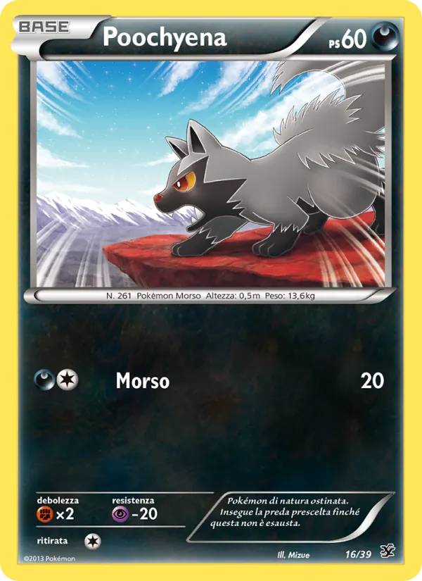 Poochyena – Benvenuti a Kalos 16