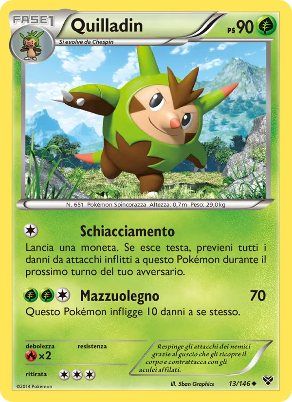 Quilladin – XY 13