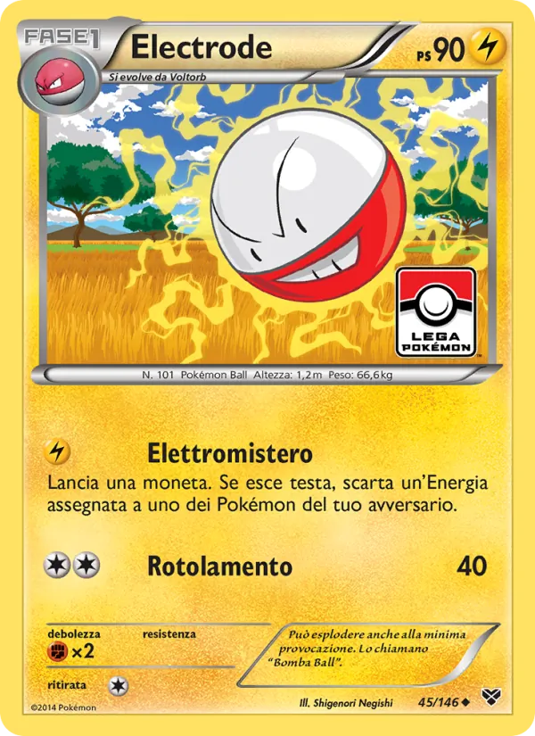 Electrode – XY 45