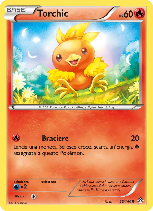 Torchic – Scontro Primordiale 25