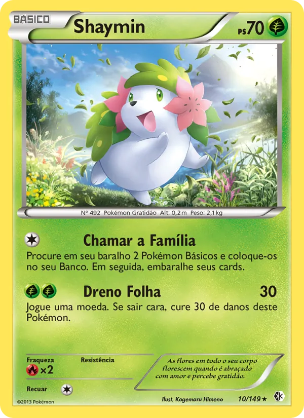 Shaymin – Fronteiras Cruzadas 10
