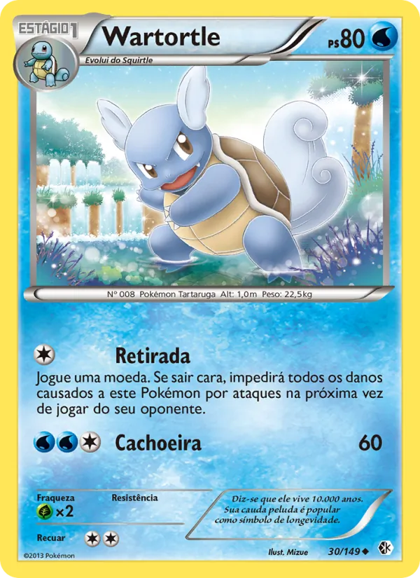 Wartortle – Fronteiras Cruzadas 30