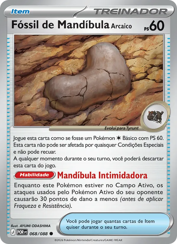 Fóssil de Mandíbula Arcaico – Equilíbrio Perfeito 68