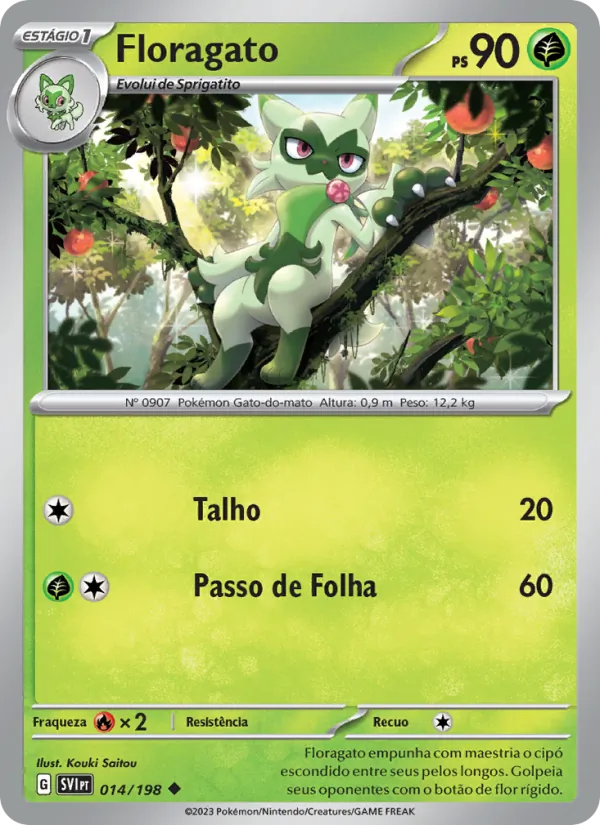 Floragato – Escarlate e Violeta 14
