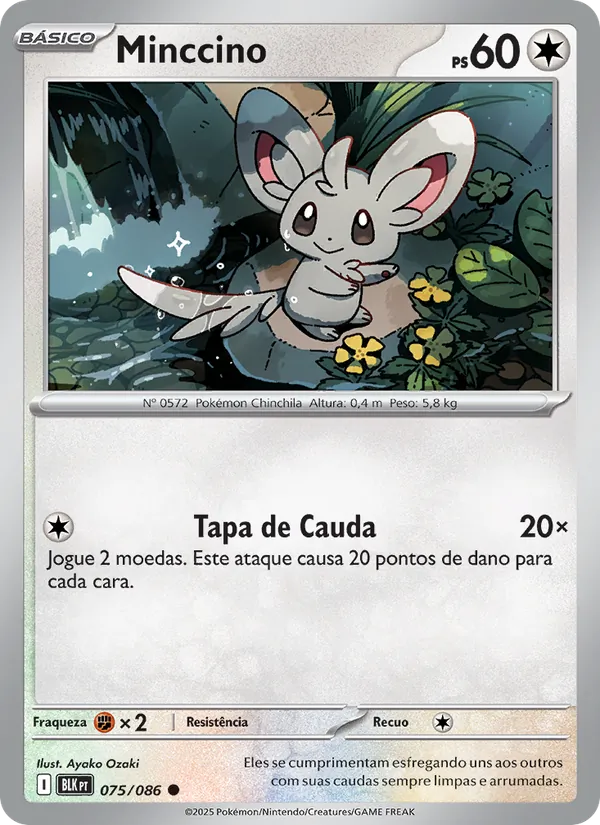 Minccino – Raio Preto 75