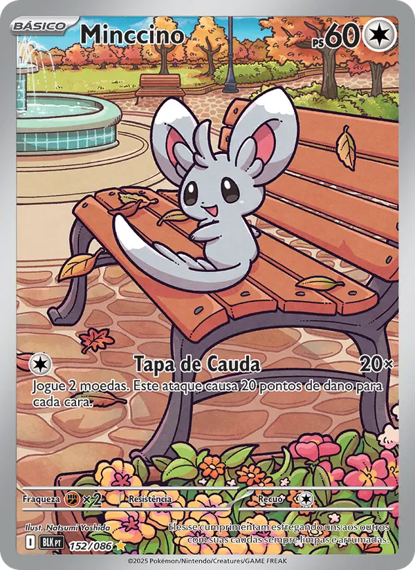 Minccino – Raio Preto 152