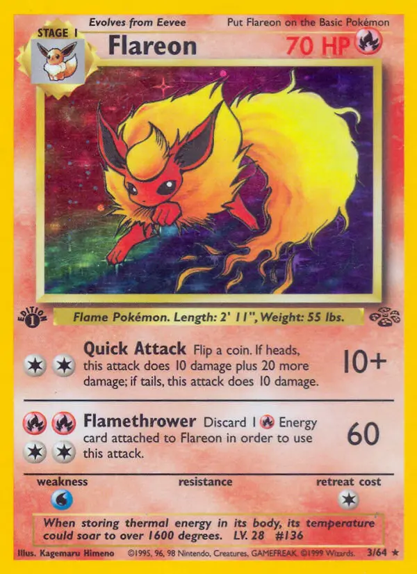 Flamara – Dschungel 3