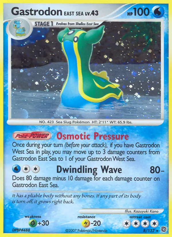 Gastrodon Östliches Meer – Rätselhafte Wunder 8