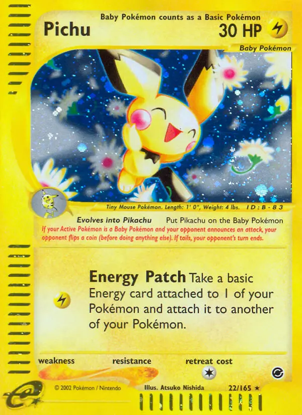 Pichu – Expedition 22