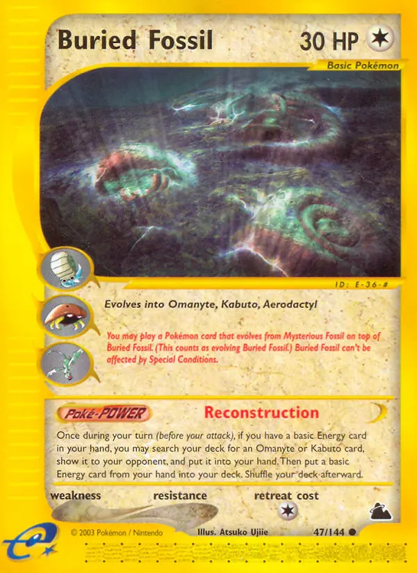 Vergrabenes Fossil – Skyridge 47