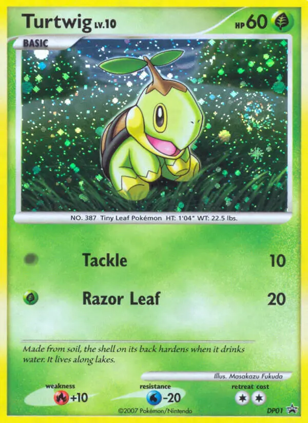 Tortipouss – Promo DP DP01