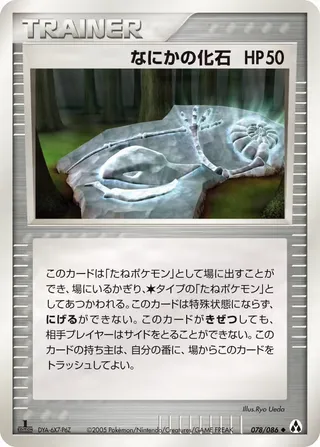 神秘的な化石 – まぼろしの森 78