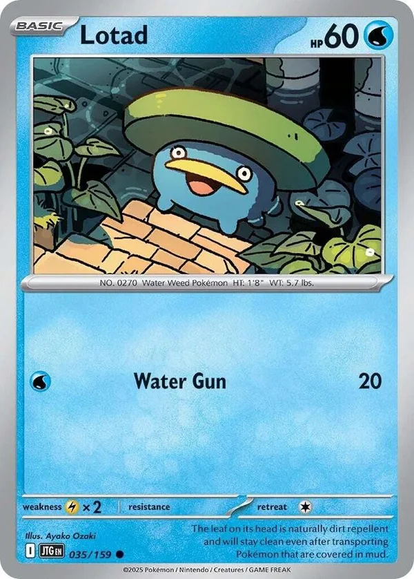 Lotad – Journey Together 35