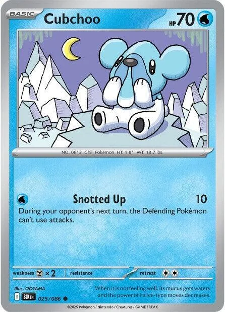 Cubchoo – Black Bolt 25