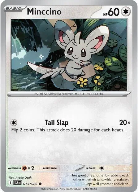 Minccino – Black Bolt 75