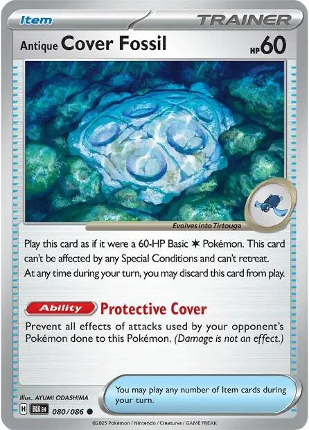 Antique Cover Fossil – Black Bolt 80