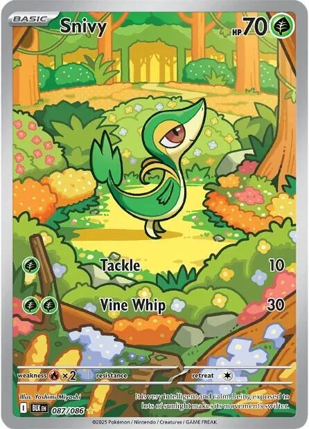 Snivy – Black Bolt 87