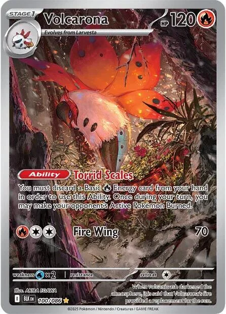 Volcarona – Black Bolt 100