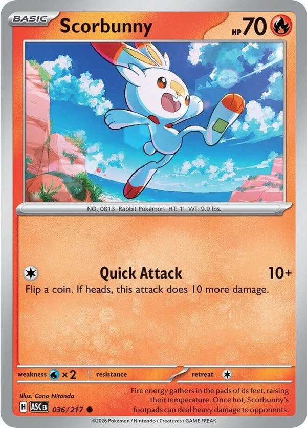 Scorbunny – Ascended Heroes 36
